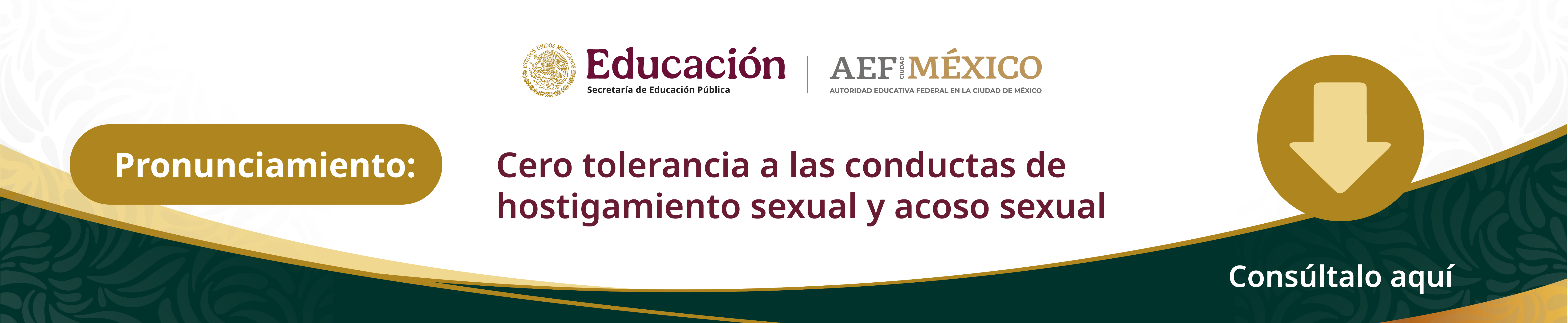 Cero Tolerancia a las conductas de acoso sexual y hostigamiento sexual
