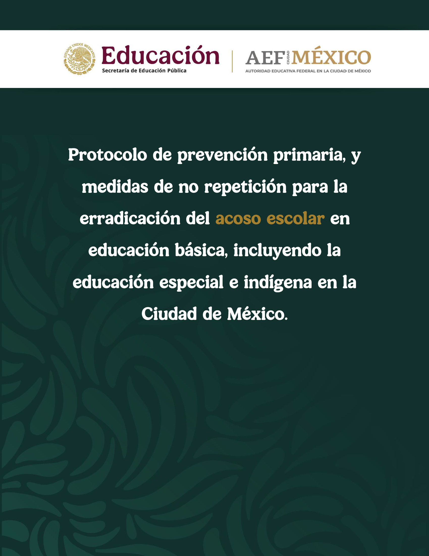 Protocolo